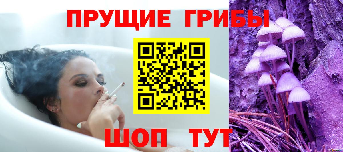 Псилоцибиновые грибы MAGIC MUSHROOMS  Галлюциногенные грибы Psilocybe  Вход с VPN  закладки  Калач-на-Дону 