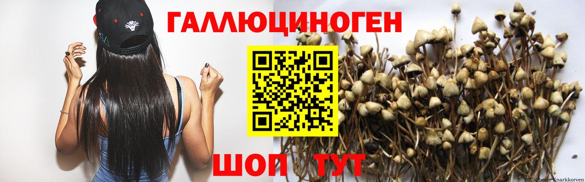 Псилоцибиновые грибы Magic Shrooms Калач-на-Дону